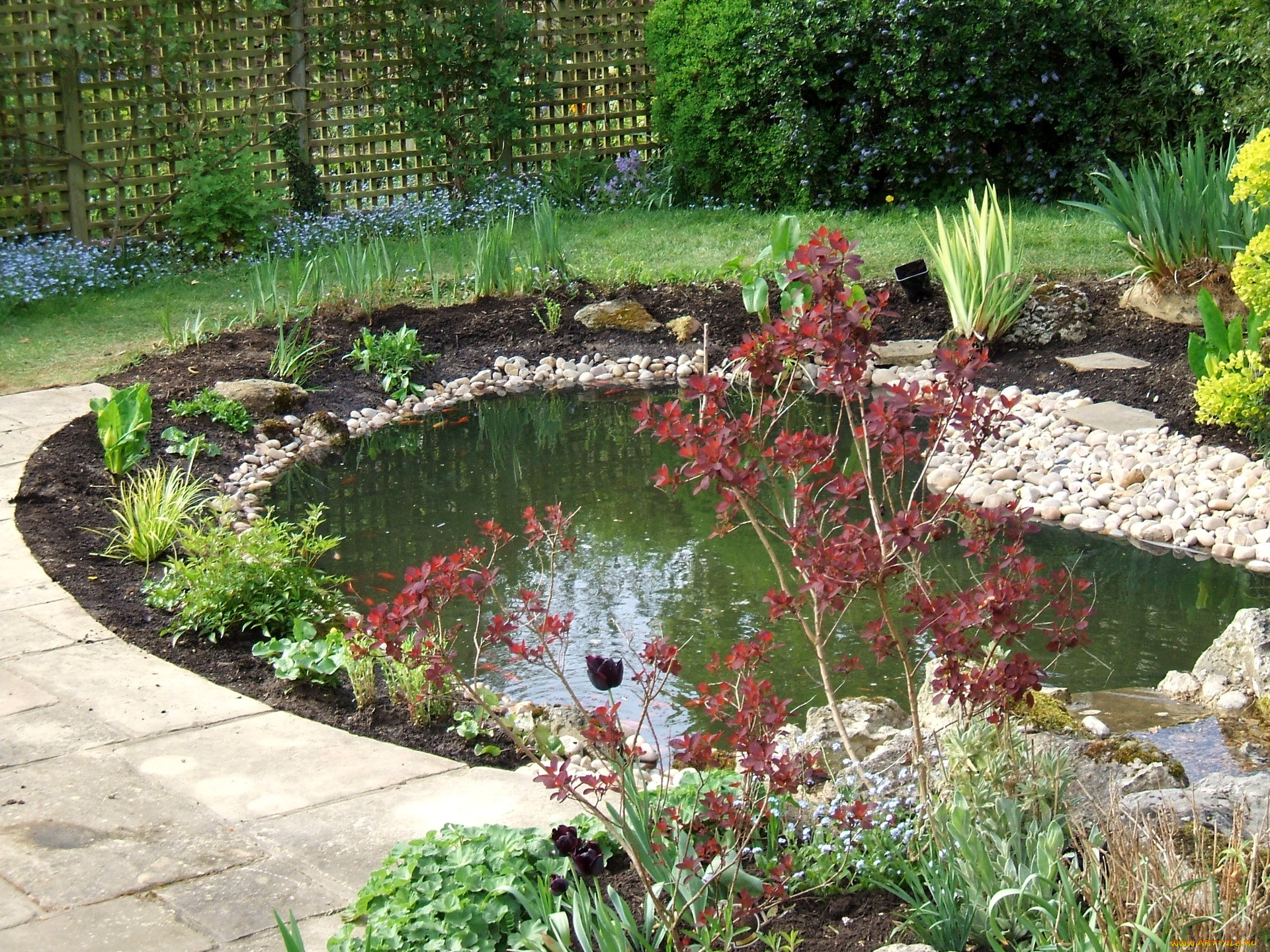 water, gardens, , , , , , 